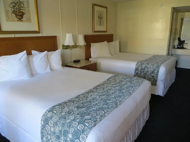 Classic, 2 Queen Beds, The Central Motel 2/7