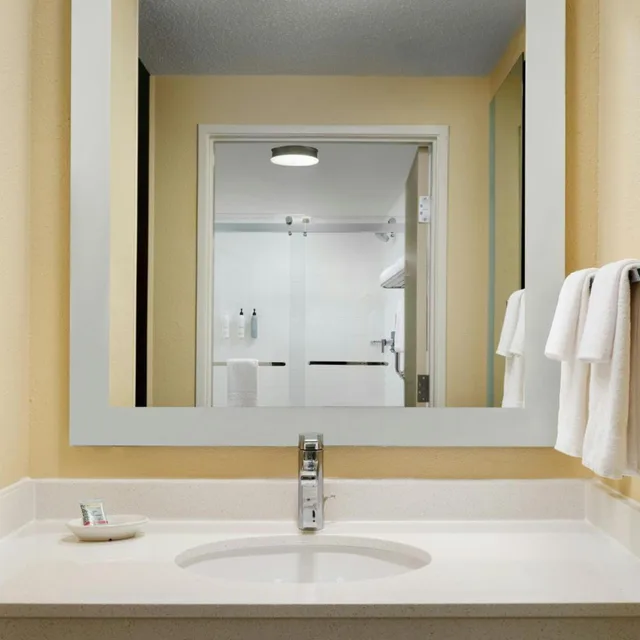 جناح بسرير مزدوج مع أريكة، Springhill Suites by Marriott Austin South 4/5