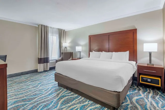 غرفة قياسية بسرير كينج، Comfort Inn Asheville East-Blue Ridge Pkwy Access 5/10