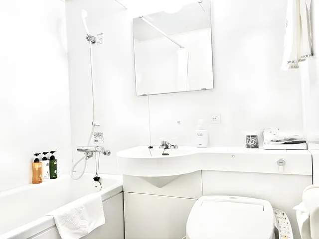Room, Twin Beds, West Wing، APA HOTEL KAGOSHIMA TENMONKAN 5/5