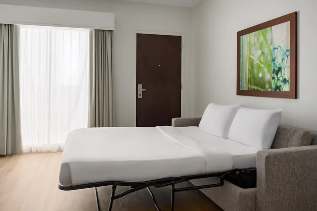 جناح ديلوكس بسرير كينج لذوي الإعاقة، Embassy Suites by Hilton Orlando Lake Buena Vista Resort 1/5