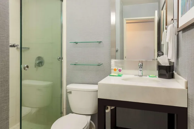 غرفة بسرير كينج مع أريكة في طابق مرتفع، Hyatt Place San Jose/Downtown 1/1