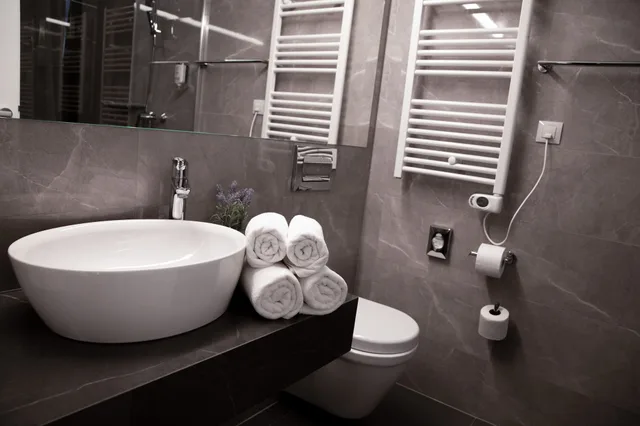 غرفة قياسية بإطلالة على المتنزه مفردة بسرير كوين، Paris Hotel 9/10