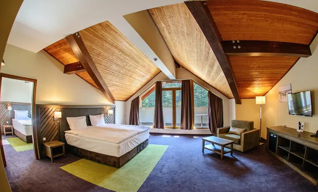 Suite, Single Bed, Hot Springs Medical & Spa Hotel 7/10