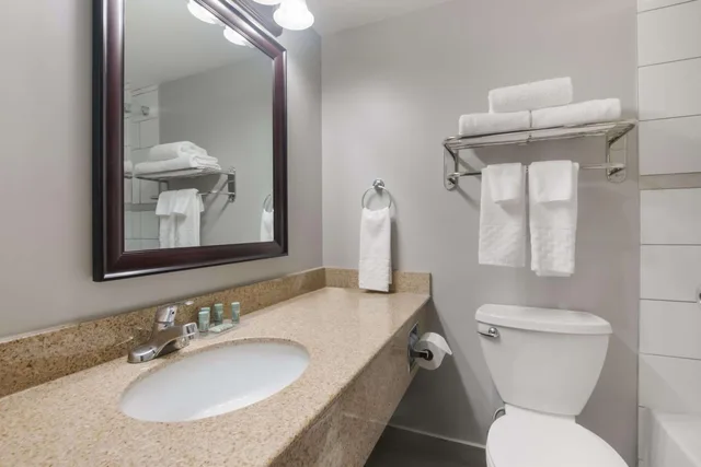 Room, King Bed, Sofa, Best Western St Catharines Hotel Conference Centre 5/7