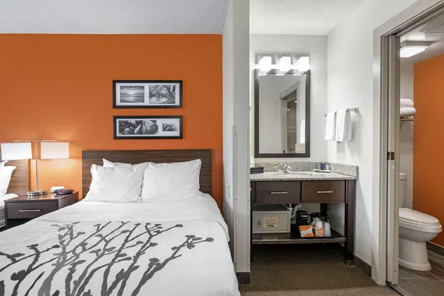 غرفة بسرير مزدوج، Sleep Inn DeWitt - Lansing North 2/4