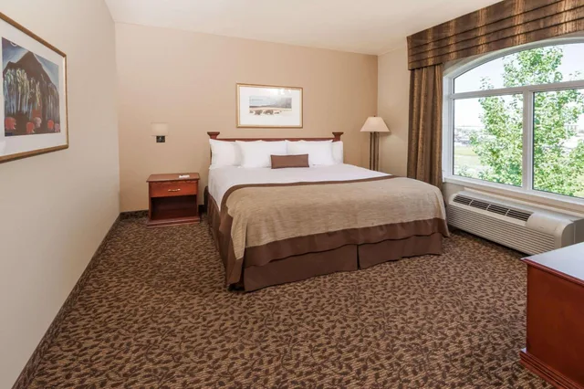 جناح جونيور بسرير كينج مع أريكة، Wingate by Wyndham Edmonton West 1/3