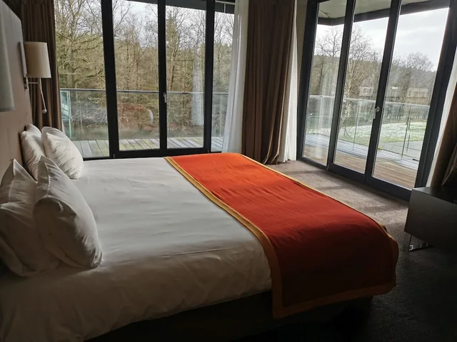 جناح تنفيذي بسرير كينج مع أريكة، Hotel De La Source 1/5