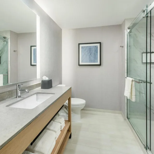 غرفة بسرير كينج بشرفة بإطلالة، Hyatt Place Newark - Main Street 1/1