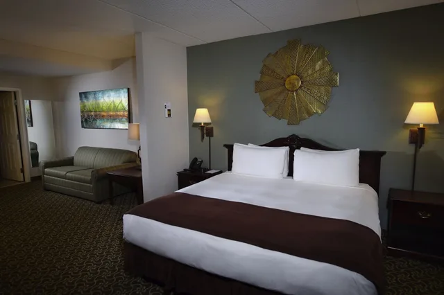 جناح استوديو بسرير كينج مع أريكة، D. Hotel and Suites 1/7