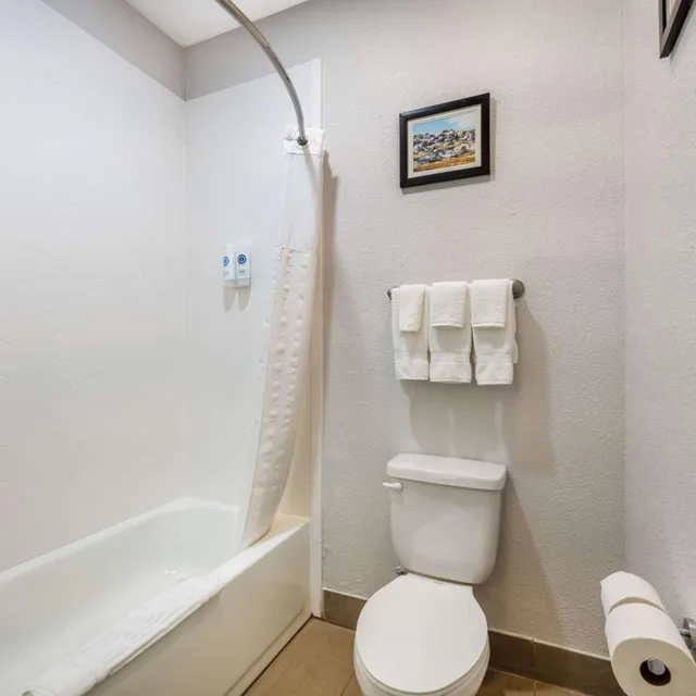 جناح بسرير كوين، Comfort Suites Omaha East-Council Bluffs 6/7