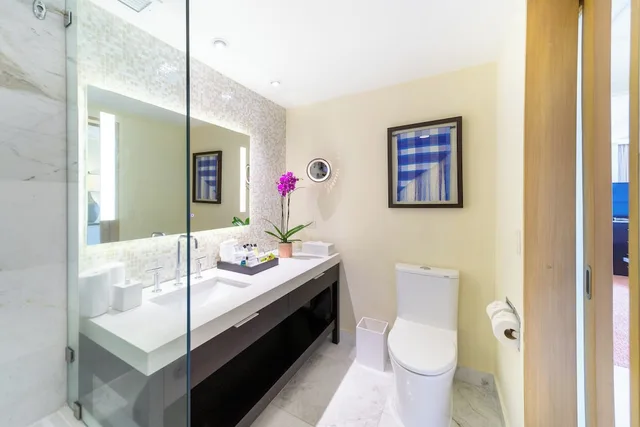 جناح جونيور بسرير كينج مع دخول صالة النادي لذوي الإعاقة، Intercontinental San Pedro Sula 8/8