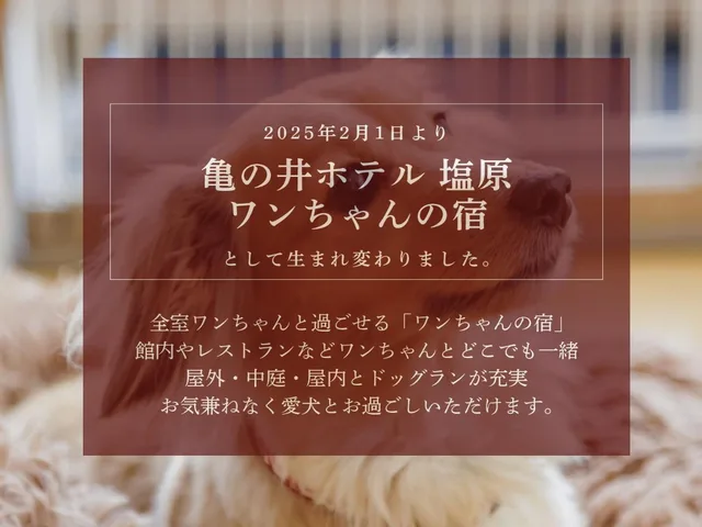 غرفة يابانية يُسمح فيها بالحيوانات الأليفة بأرضية تاتامي، Kamenoi Hotel Shiobara (ex Kanponoyado Shiobara) 1/2
