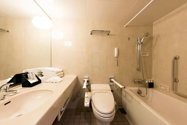 غرفة قياسية، Ana Crowne Plaza Chitose 5/5