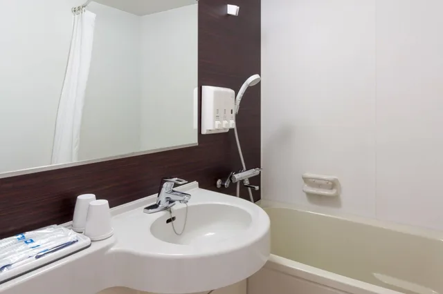 غرفة مفردة بسرير مزدوج، Comfort Hotel Tokyo Kanda 2/2