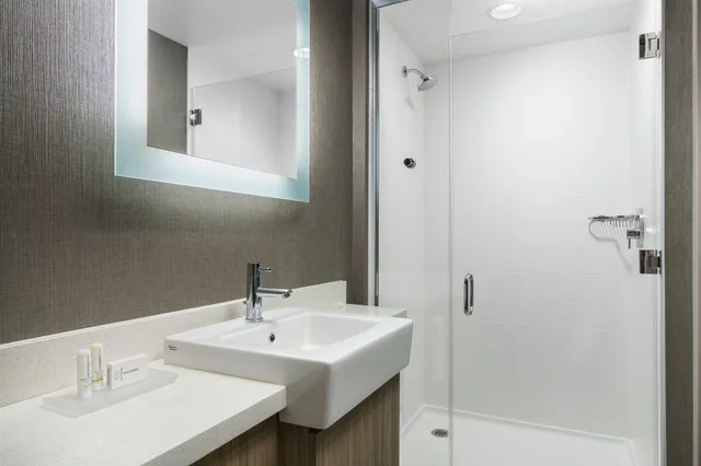 جناح بسرير كينج، Springhill Suites By Marriott Philadelphia West Chester Exton 2/8