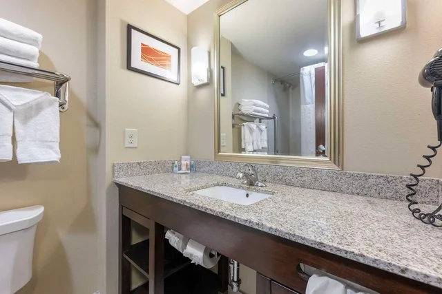 جناح بسرير كينج، Comfort Inn & Suites Artesia, NM 3/3