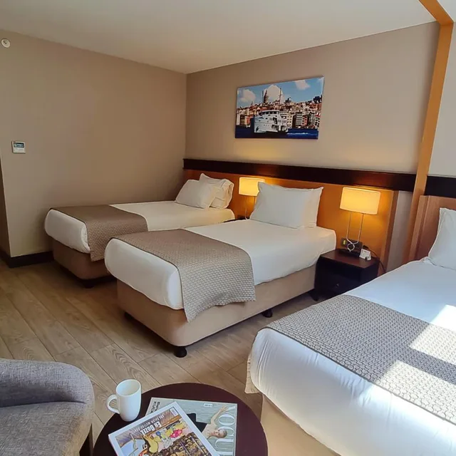 غرفة ديلوكس مفردة، Port Bosphorus Hotel 3/8