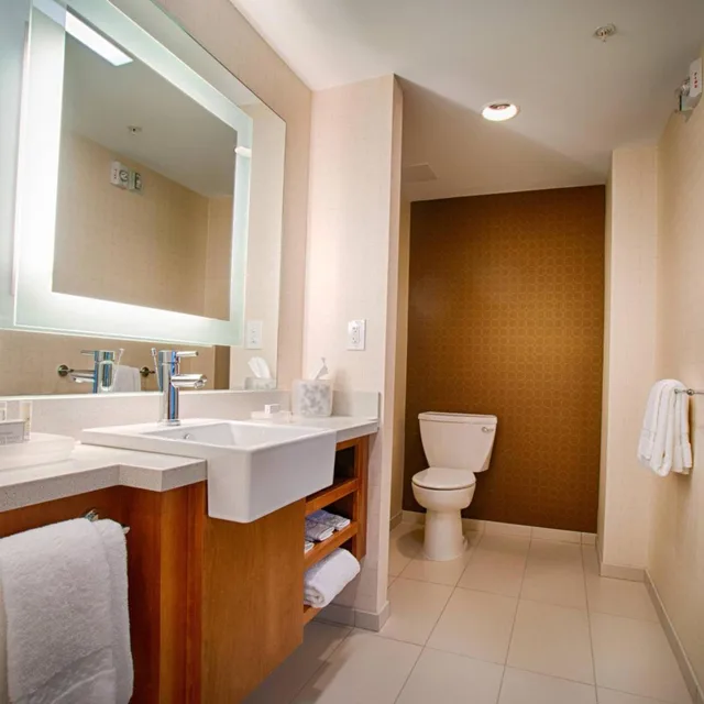جناح بسرير كينج مع سرير سحّاب إضافي مع أريكة لذوي الإعاقة، SPRINGHILL SUITES CANTON 2/2