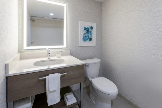Suite, Queen Bed, Accessible, Hampton Inn & Suites Venice Bayside South Sarasota 3/4