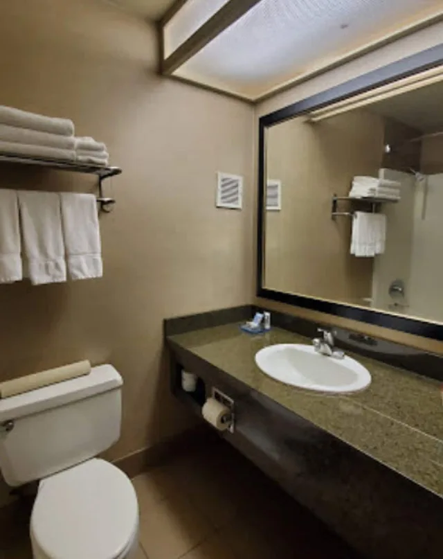 Superior, Studio, King Bed, Garden or Pool View، USC Hotel 3/3