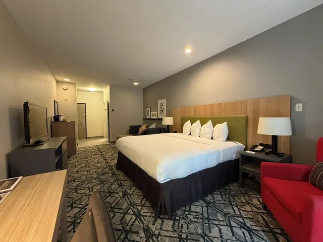 جناح ديلوكس بسرير كينج بغرفة نوم واحدة مع أريكة، Country Inn & Suites by Radisson, Novi, MI 6/10