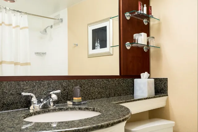 غرفة بسرير كينج، Wyndham Cleveland Airport 3/3