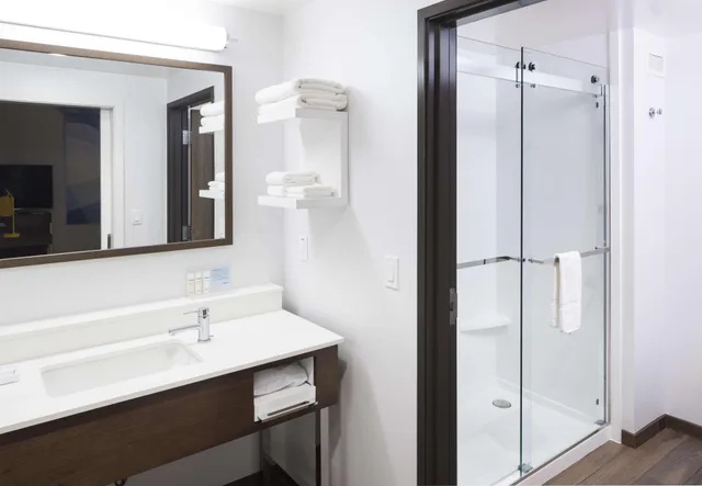 استوديو بسرير كينج مع أريكة لذوي الإعاقة، Hampton Inn Suites Phoenix Downtown 2/2