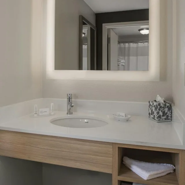 جناح بسرير كينج مع أريكة بحوض استحمام لذوي الإعاقة، SpringHill Suites by Marriott New Orleans Warehouse Arts District 5/10