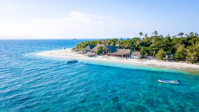 Palm, Bure, with View، Serenity Island Resort 1/1