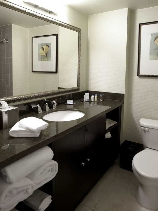غرفة قياسية بسرير كينج، Doubletree By Hilton Charlotte Airport Hotel 4/5