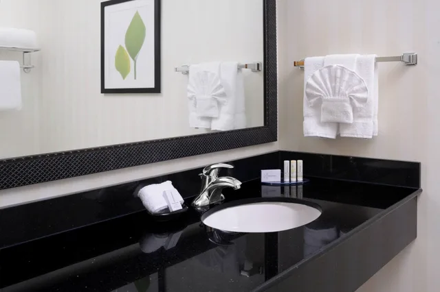 جناح مع أريكة لذوي الإعاقة، Fairfield Inn Suites By Marriott Dallas Plano the Colony 2/3