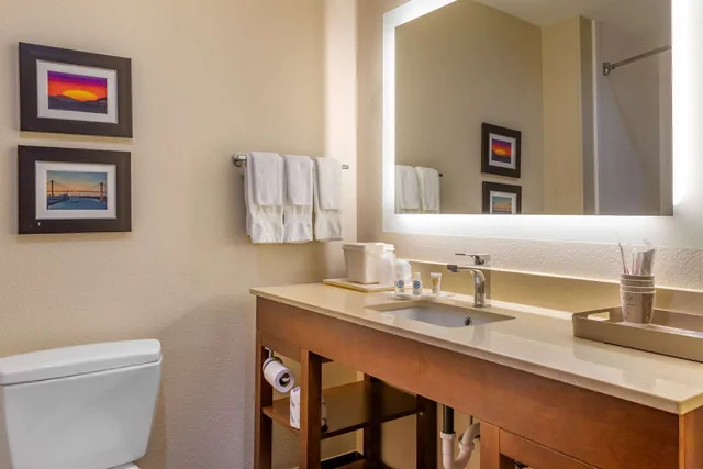جناح بسرير كينج، Comfort Suites Savannah Gateway I-95 5/6