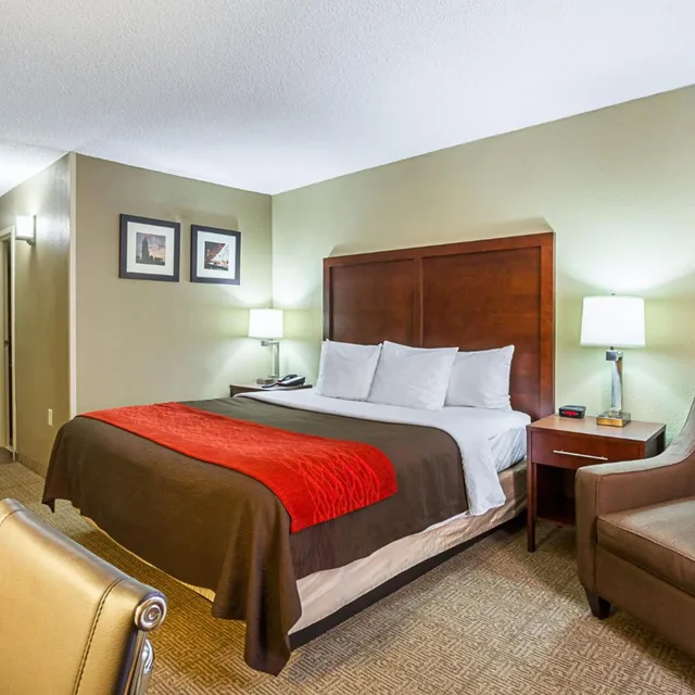 جناح ديلوكس بسرير كينج، Comfort Inn Cleveland Downtown 1/10