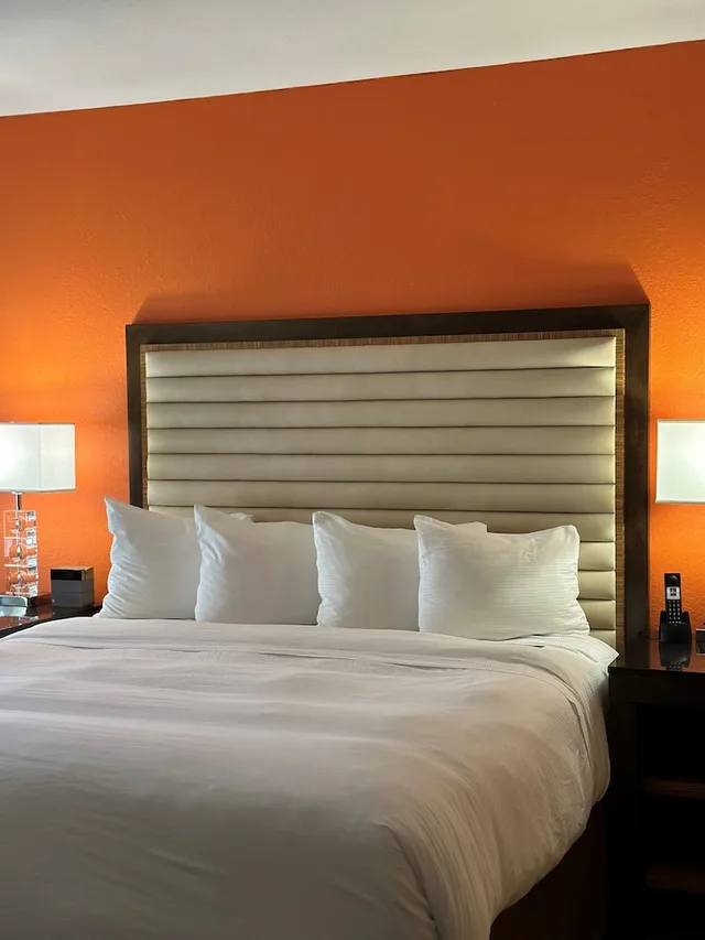 جناح بسرير كينج بإطلالة على المدينة، Moonrise Hotel 1/2