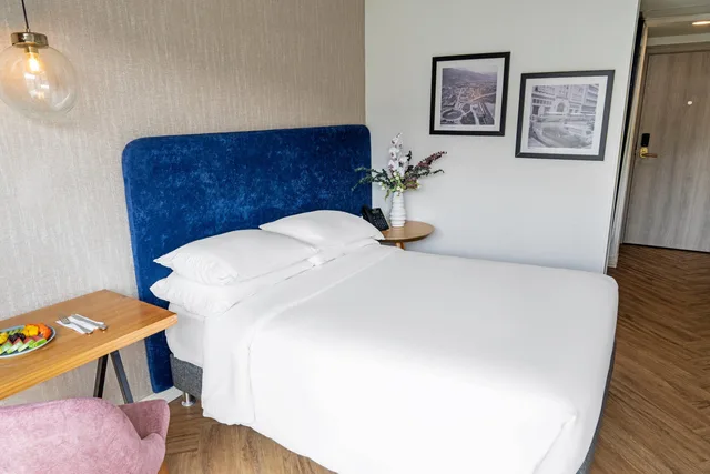 غرفة قياسية بسرير مزدوج، Hotel Faranda Collection Cali 6/10