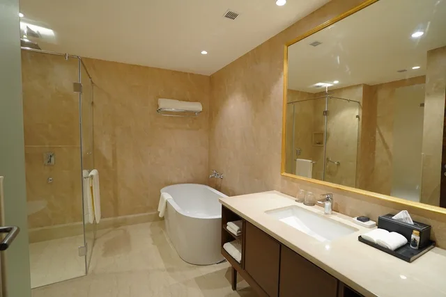 Deluxe, King Bed, Taj Tirupati 4/4