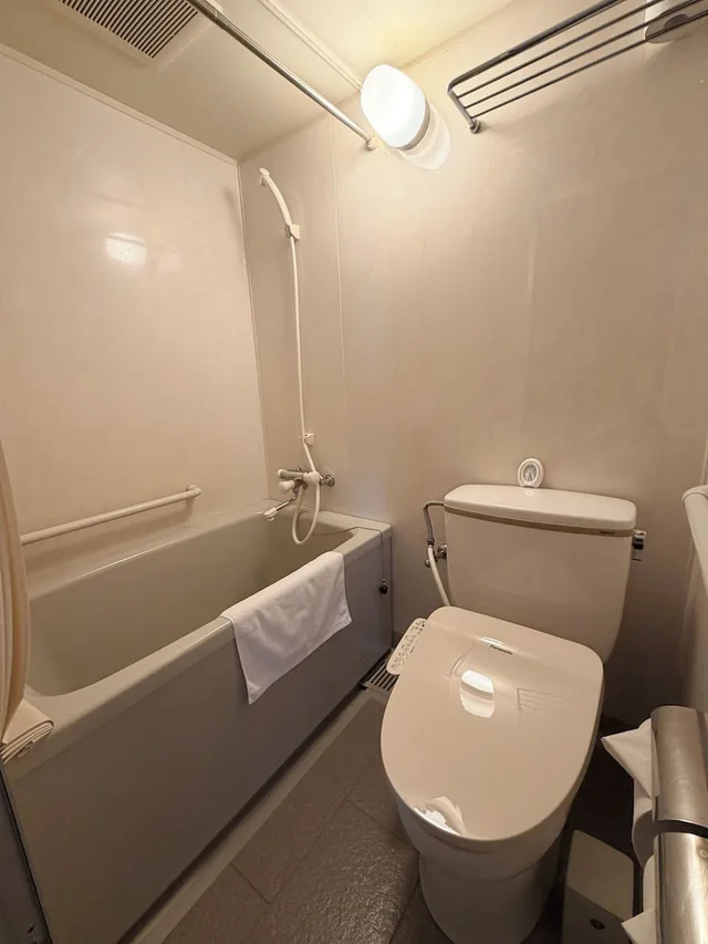 غرفة أساسية بسريرين منفصلين بإطلالة على الجبل، SPA & HOTEL RESORT Furano Laterre 3/3