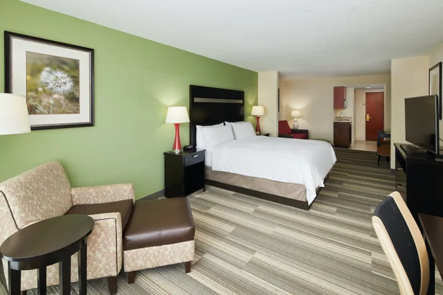 جناح بسرير كينج، Holiday Inn Express Hotel & Suites I-26 & Us 29 At Westgate Mall 1/6