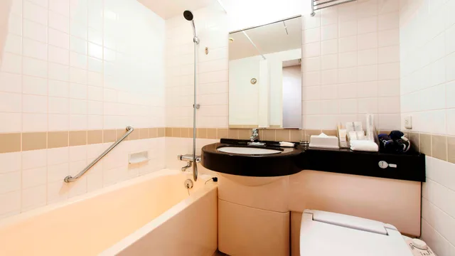 Standard, Double Bed, City View, Ana Crowne Plaza Hotel Hiroshima 5/5