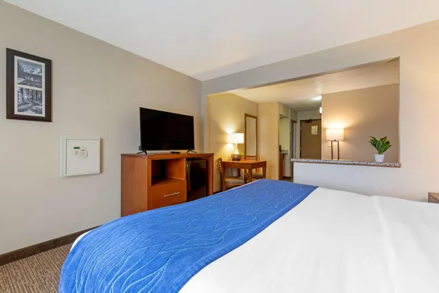 جناح جونيور، Comfort Inn South 3/7