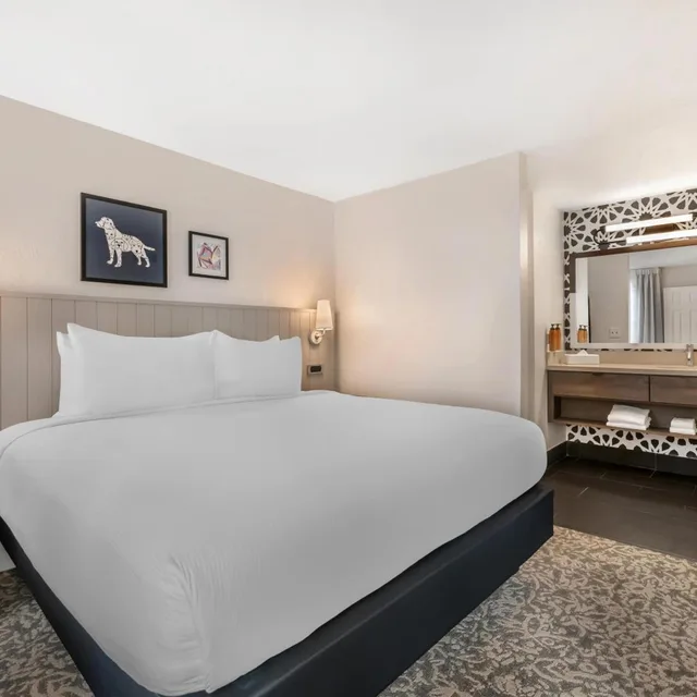 1 Bedroom, Suite, Pool Area، Sonesta ES Suites Orlando Lake Buena Vista 2/4