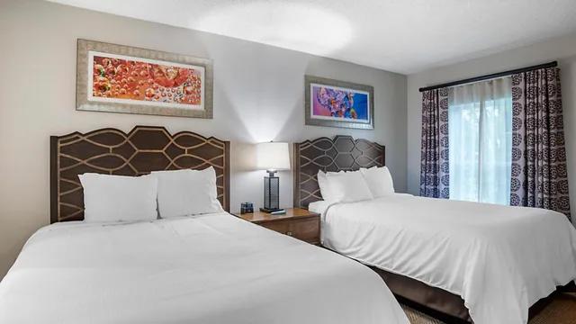 جناح بغرفتي نوم لذوي الإعاقة، The Suites at Hershey 6/10