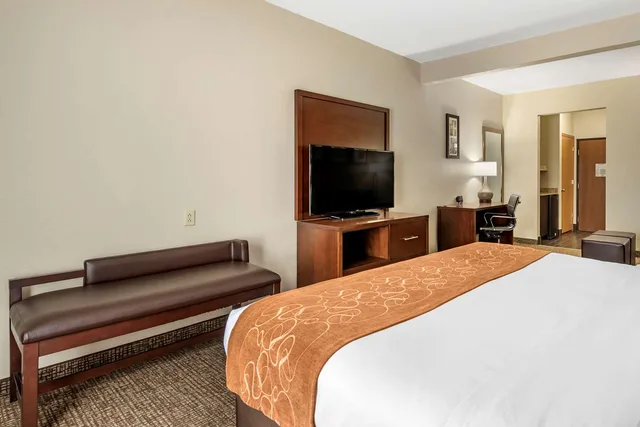 جناح بسرير كينج لذوي الإعاقة، Comfort Suites Auburn Near I-69 1/4