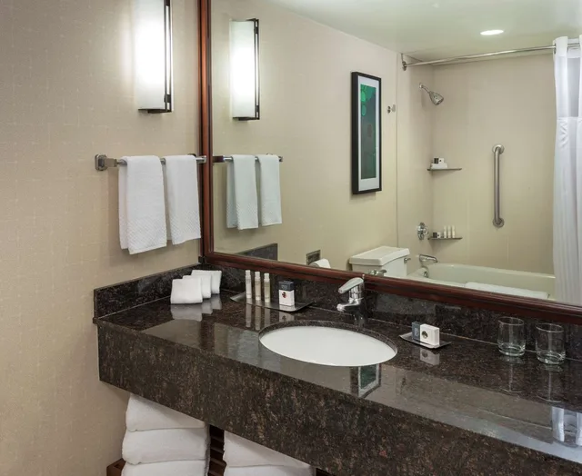 جناح تنفيذي بسرير كينج لذوي الإعاقة، DoubleTree Suites by Hilton Hotel & Conference Center Chicago-Downers Grove 2/2