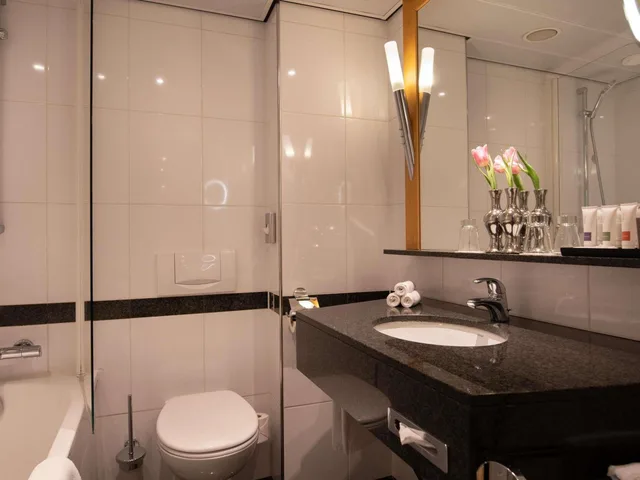 Classic, Queen Bed, Swissotel Amsterdam 4/5