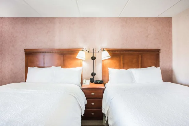 غرفة قياسية بسريرين مزدوجين، Hampton Inn West-Springfield 2/3