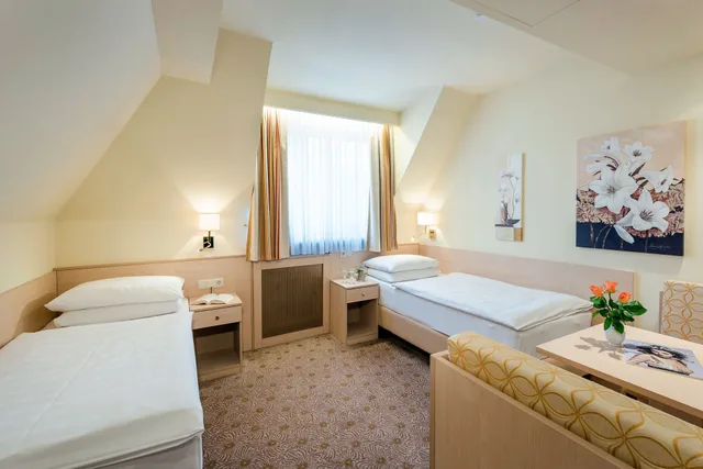 غرفة بسرير مزدوج أو سريرين منفصلين، Scherer Hotel 5/10