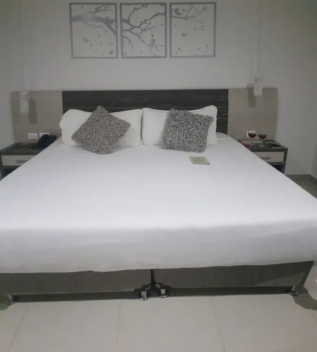 غرفة ديلوكس بسرير كينج، HOTEL OXFORD BARRANQUILLA 3/4