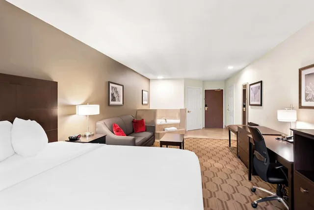 جناح بسرير كينج بحوض جاكوزي، Best Western Palmyra Inn & Suites 1/4